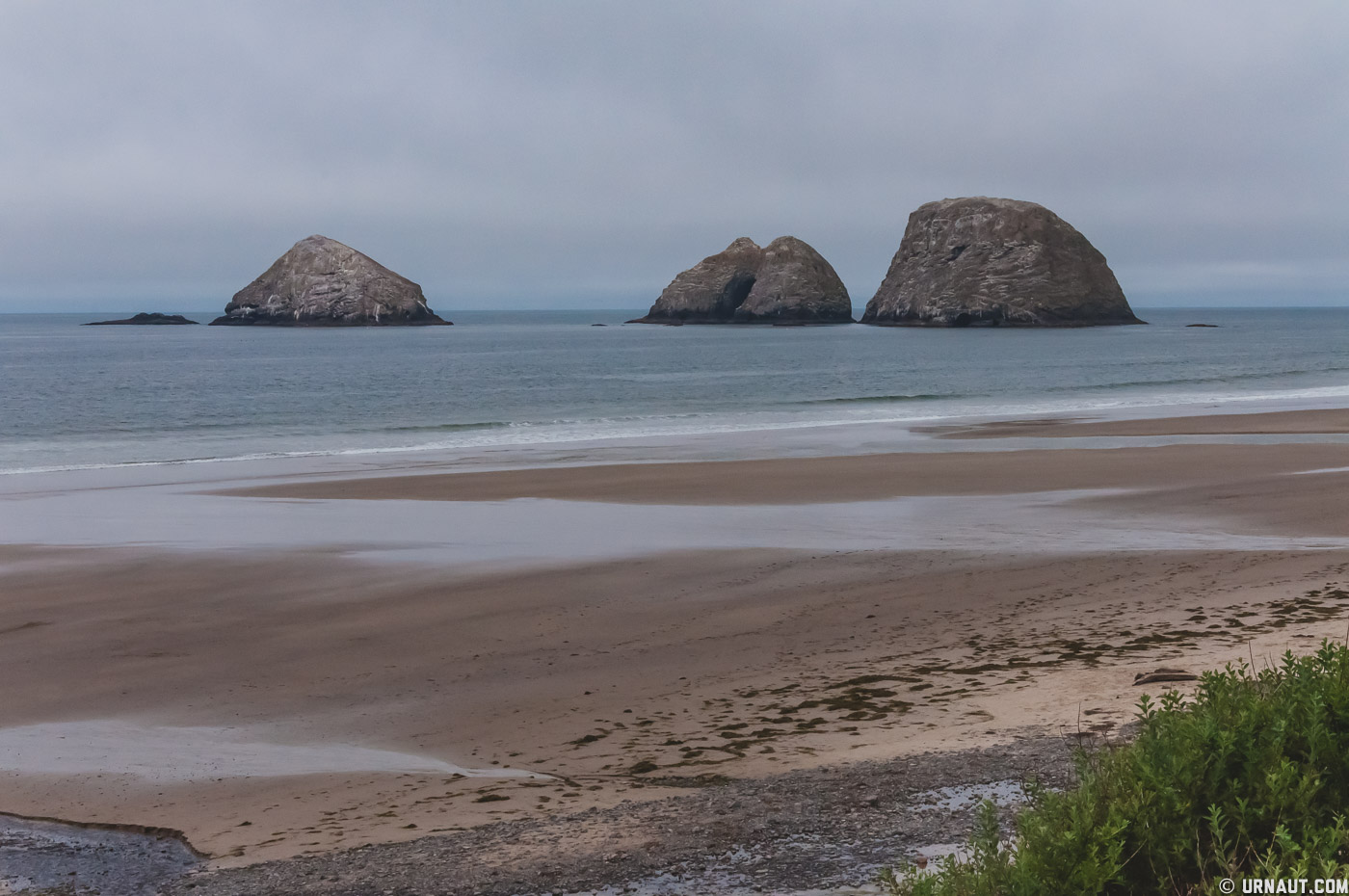 0081-Oregon Coast.jpg